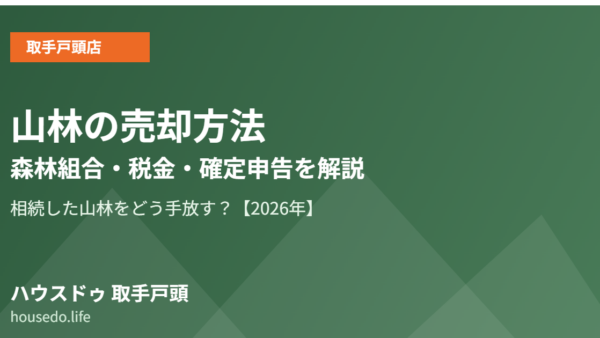 山林（相続した山林）を売却する方法｜森林組合への相談・税金・確定申告を解説